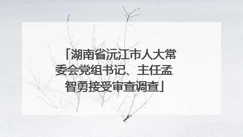 湖南省沅江市人大常委会党组书记、主任孟智勇接受审查调查